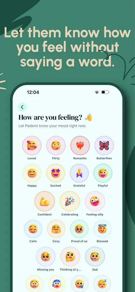 Pademi screen 4